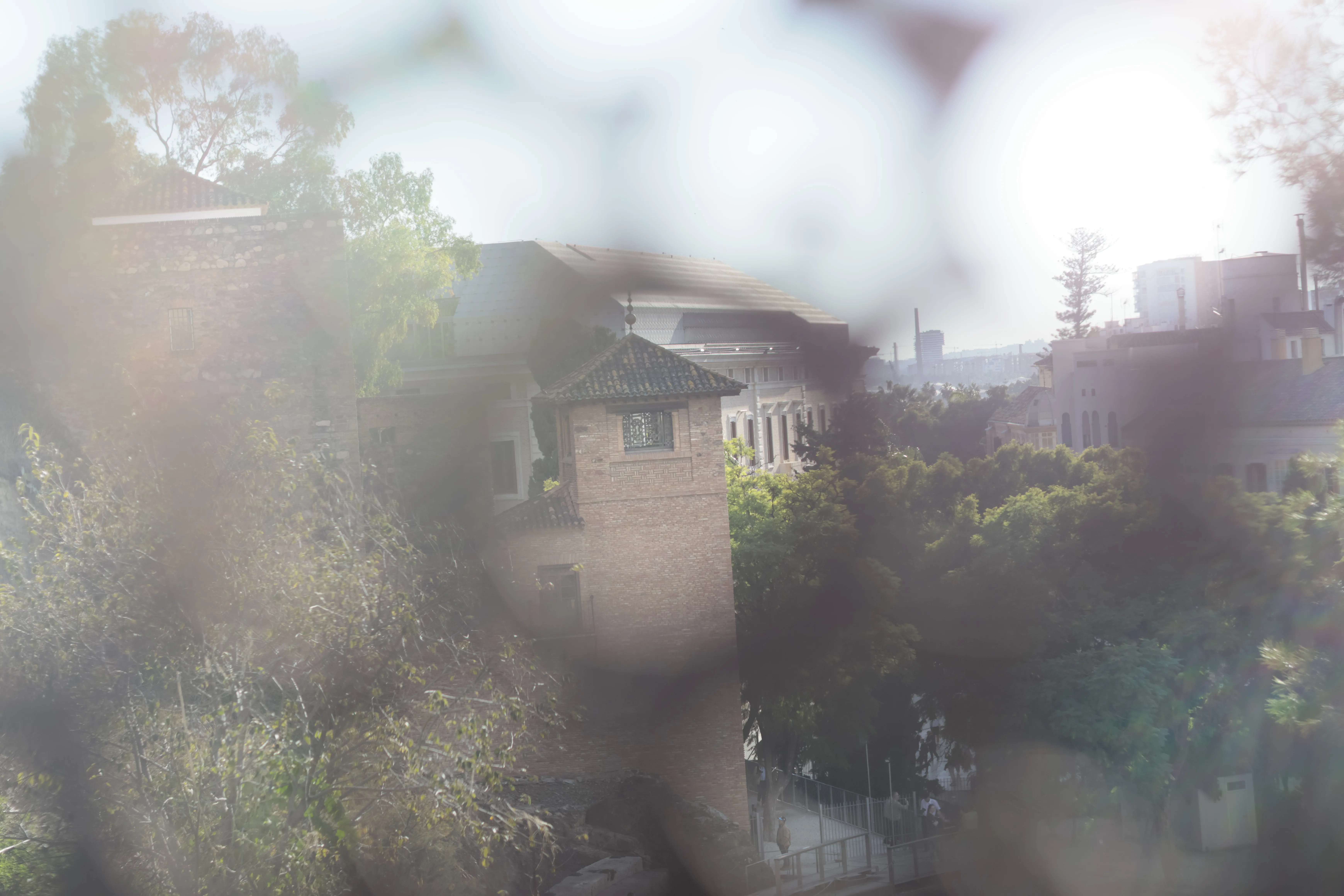 Zenith Helios-77M-4 1,850 (VOMZ) - _I4A1172.webp